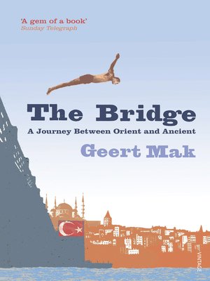 cover image of The Bridge